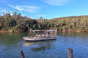 Sibuya Big 5 Safari mit Übernachtung