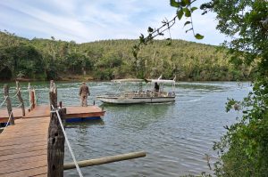 Sibuya Big 5 Safari mit Übernachtung