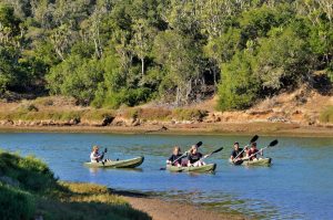 Sibuya Big 5 Safari mit Übernachtung