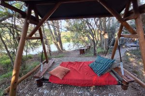 Sibuya Big 5 Safari mit Übernachtung