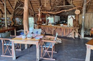 Sibuya Big 5 Safari mit Übernachtung