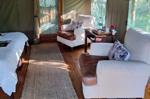 Sibuya Big 5 Safari mit Übernachtung