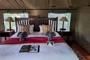 Sibuya Big 5 Safari mit Übernachtung