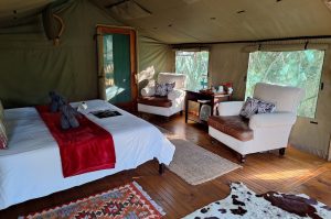 Sibuya Big 5 Safari mit Übernachtung