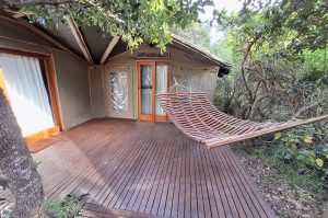 Sibuya Big 5 Safari mit Übernachtung