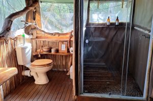 Sibuya Big 5 Safari mit Übernachtung