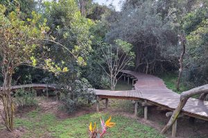 Sibuya Big 5 Safari mit Übernachtung