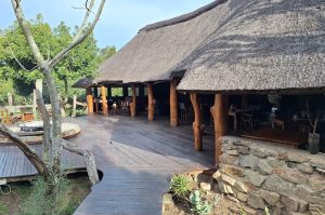 Sibuya Big 5 Safari mit Übernachtung