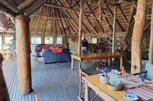 Sibuya Big 5 Safari mit Übernachtung