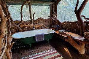 Sibuya Big 5 Safari mit Übernachtung