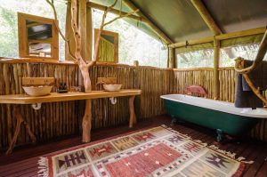 Sibuya Big 5 Safari mit Übernachtung