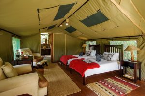 Sibuya Big 5 Safari mit Übernachtung