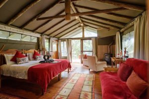 Sibuya Big 5 Safari mit Übernachtung