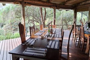 Sibuya Big 5 Safari mit Übernachtung