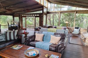 Sibuya Big 5 Safari mit Übernachtung