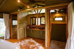 Sibuya Big 5 Safari mit Übernachtung