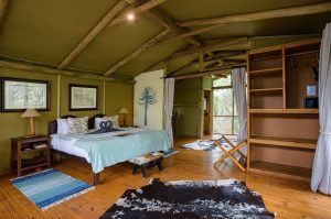 Sibuya Big 5 Safari mit Übernachtung