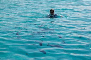 Schnorchelausflug Bonaire