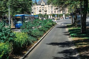 Highlighttour in Stockholm