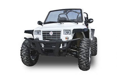 Buggy Weißer Offroad-Buggy für die Inseltour freigestellt