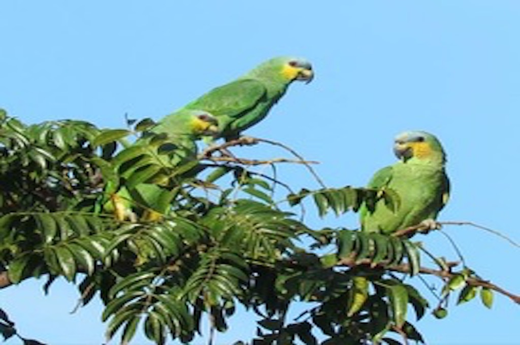 Regenwald Tour