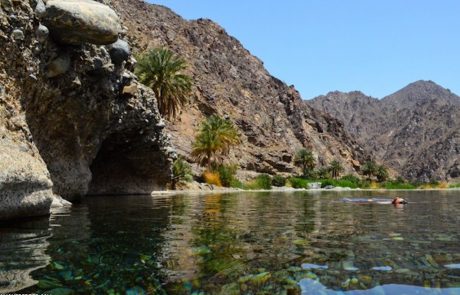 Wadi-Al-Abyad Wadi Abyadh und Wakan