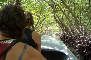 Wandertour