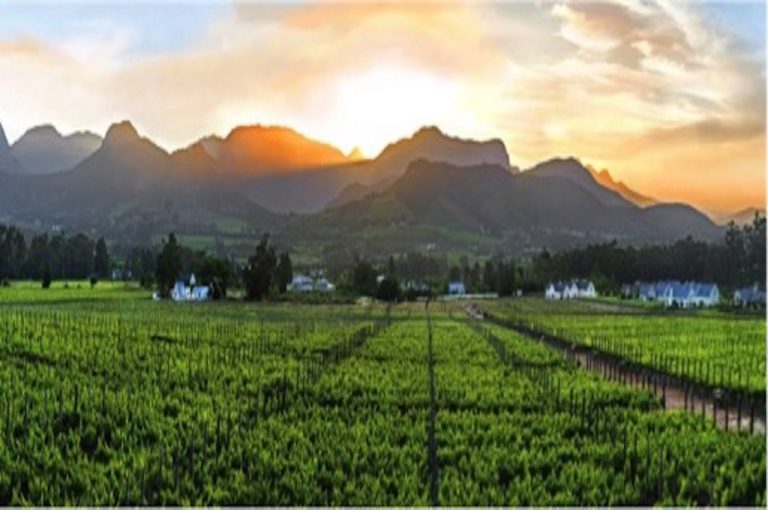 Vineyards in the valleys around Franschhoek