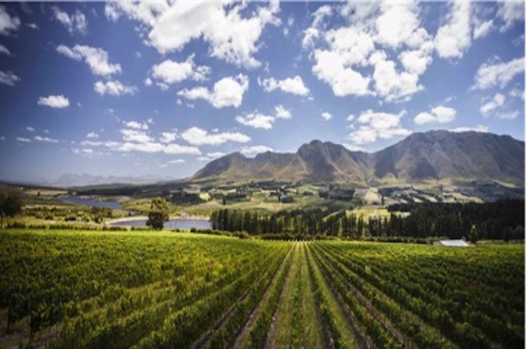 Wine tasting in the Cape Winelands near Stellenbosch