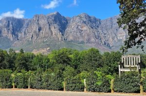 Weingüter von Stellenbosch & Franschhoek mit Weinprobe