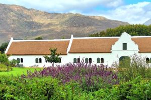 Weingüter von Stellenbosch & Franschhoek mit Weinprobe