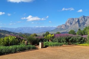 Weingüter von Stellenbosch & Franschhoek mit Weinprobe