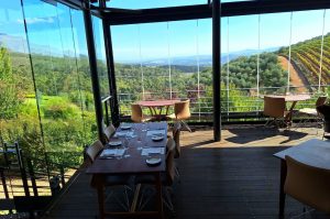 Weingüter von Stellenbosch & Franschhoek mit Weinprobe