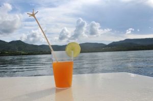Punch Katamaranausflug Martinique