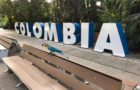 Hafen Ara sitzt vor dem großen Colombia-Schriftzug