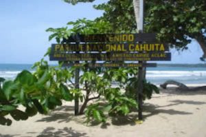 Tortuguero-Kanäle und Cahuita Nationalpark