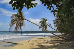 cahuita_national_park Tortuguero-Kanäle und Cahuita Nationalpark