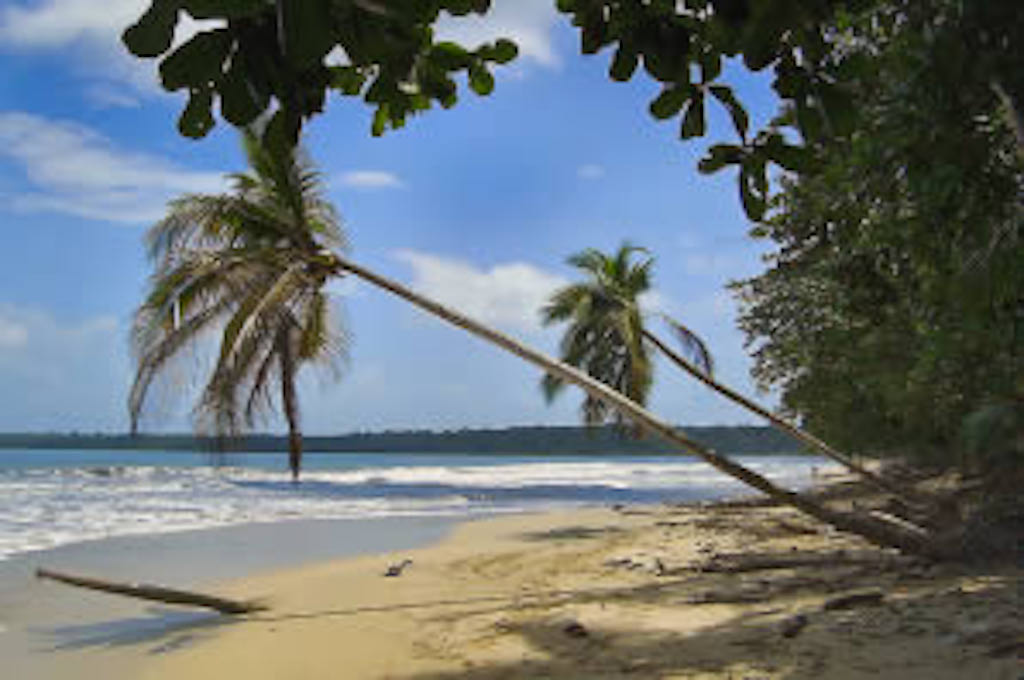 Tortuguero-Kanäle und Cahuita Nationalpark