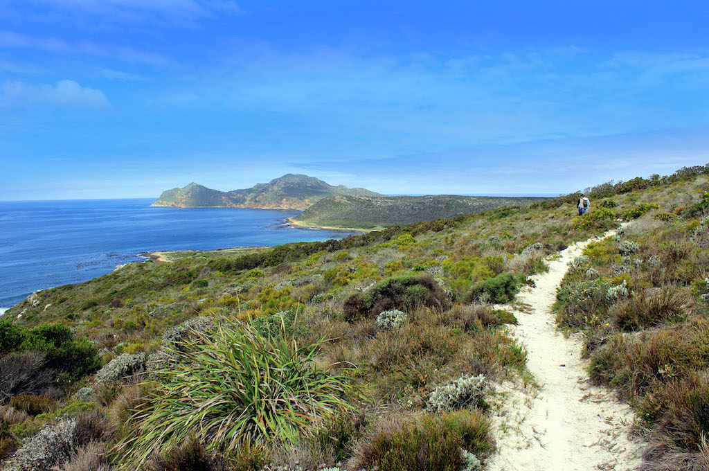 Cape Point und Felsbrocken