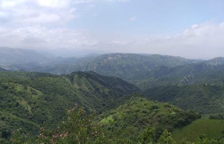 Gebirge Blick über die grünen Hügel des Valley of 1000 Hills
