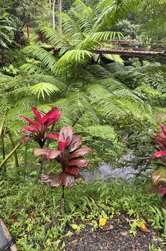Forest trail to the Caledonian waterfalls on Cyprus