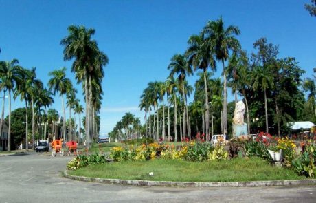 Park Blumenrondell mit Palmen im Zentrum von Toamasina
