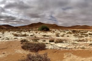 Sossusvlei, Deadvlei & die Dünen der Namib