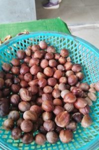 Getrocknete Muskatnüsse auf Penang