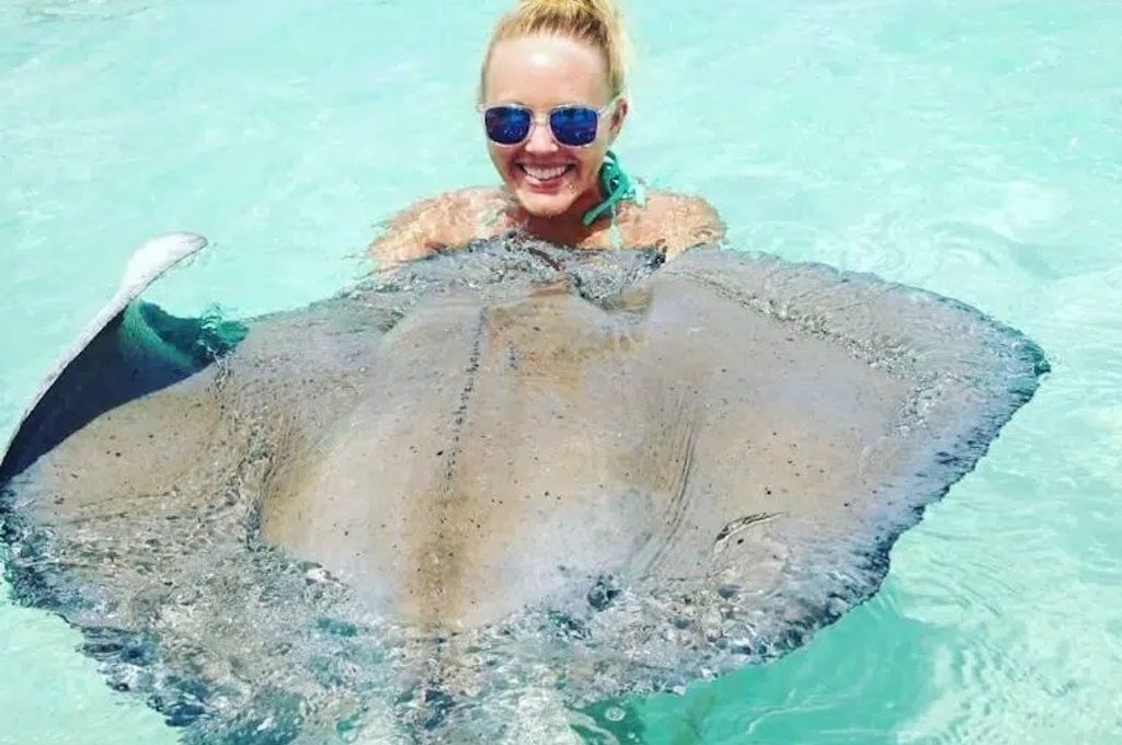 Frau hält einen großen Südlichen Stachelrochen über dem Wass Frau hält einen großen Südlichen Stachelrochen über dem Wasser