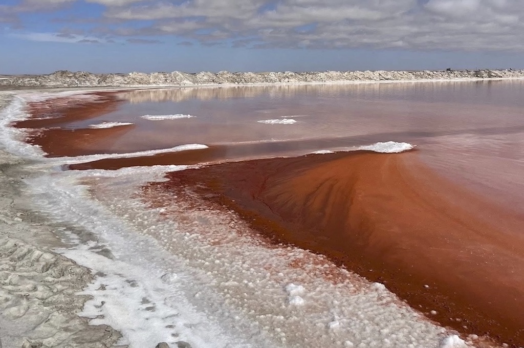 Pink Lake Halbtägige Highlighttour