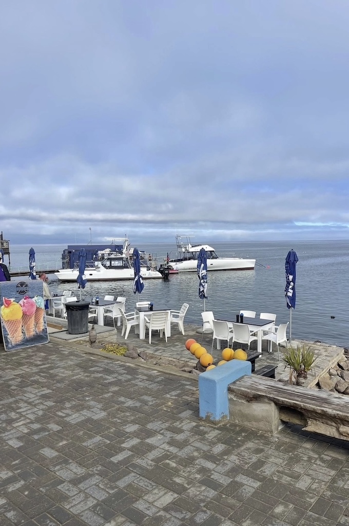 Hafen Morning catamaran cruise