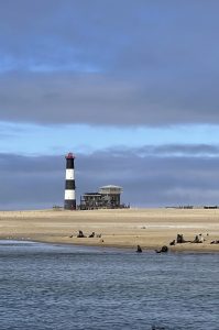 Morning catamaran cruise