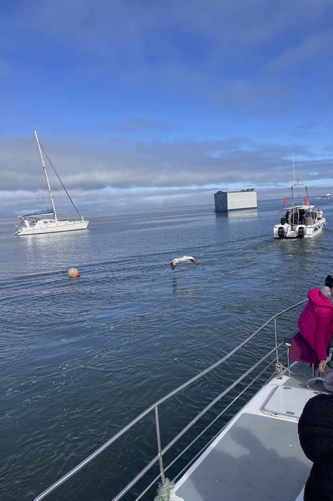 Boote Morning catamaran cruise