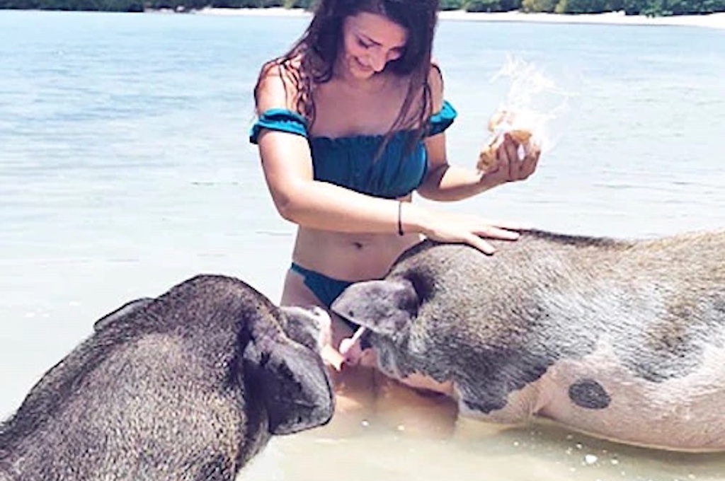 Schweine Insel 7 Inseltour